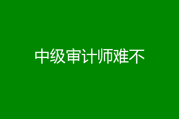 中级审计师难不