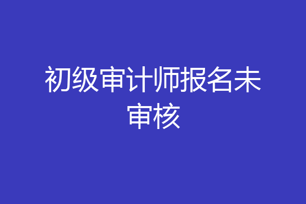 初级审计师报名未审核