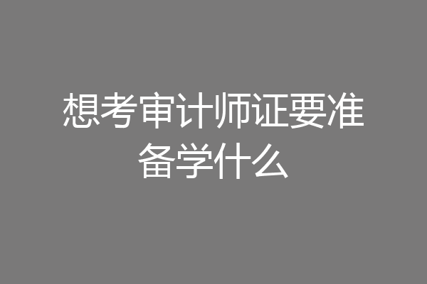 想考审计师证要准备学什么