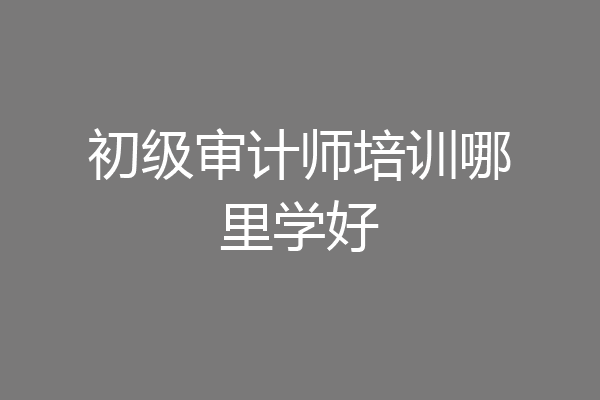 初级审计师培训哪里学好