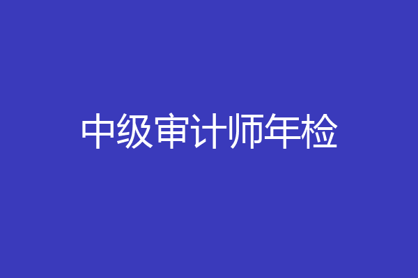 中级审计师年检