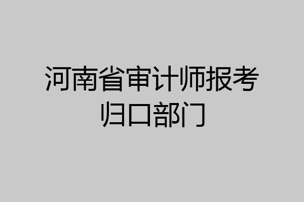 河南省审计师报考归口部门