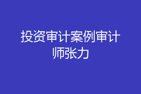投资审计案例审计师张力