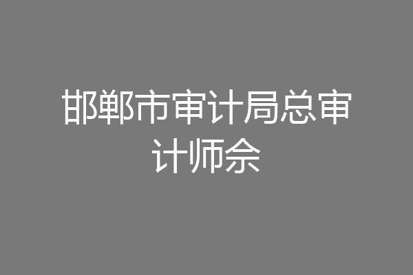 邯郸市审计局总审计师佘