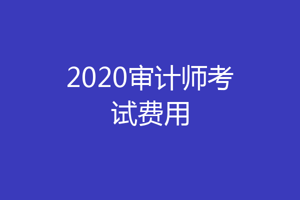 2020审计师考试费用