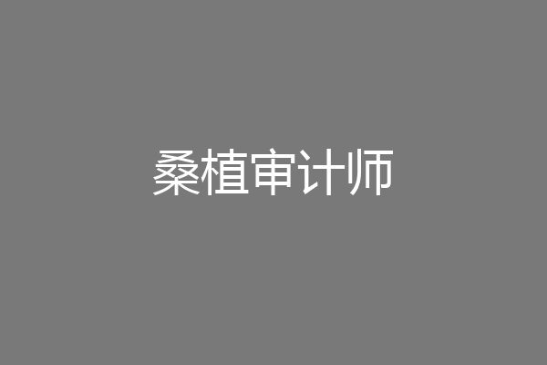 桑植审计师