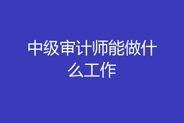 中级审计师能做什么工作