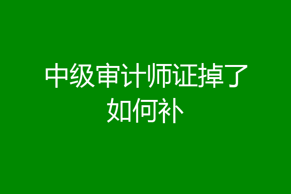 中级审计师证掉了如何补