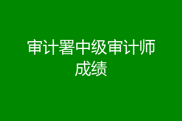 审计署中级审计师成绩