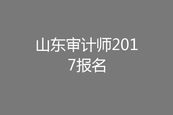 山东审计师2017报名