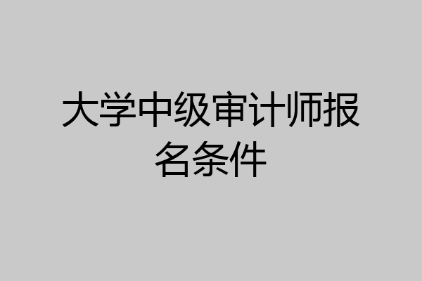 大学中级审计师报名条件