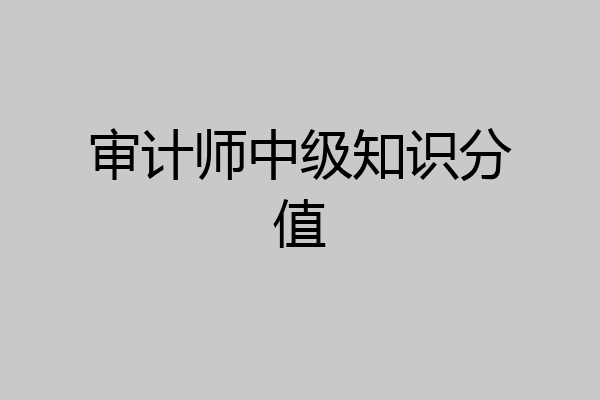审计师中级知识分值