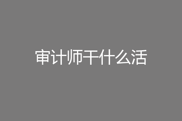 审计师干什么活