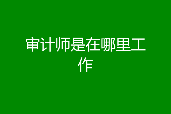 审计师是在哪里工作
