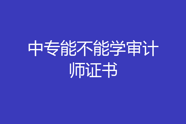 中专能不能学审计师证书