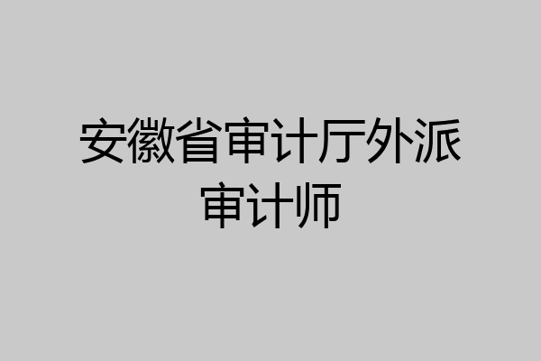 安徽省审计厅外派审计师