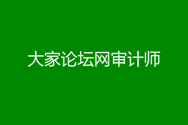大家论坛网审计师