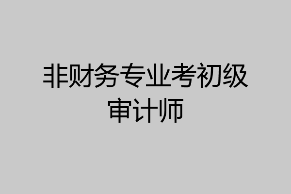 非财务专业考初级审计师