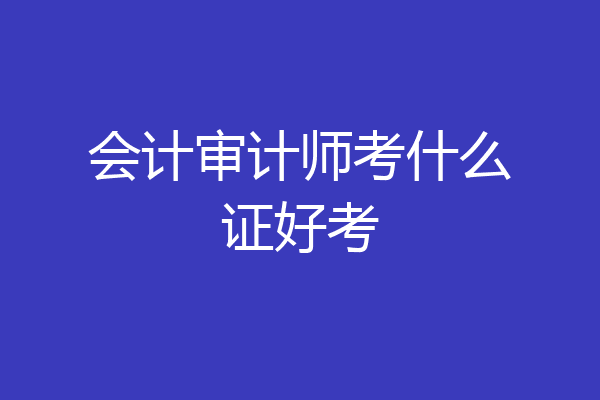 会计审计师考什么证好考