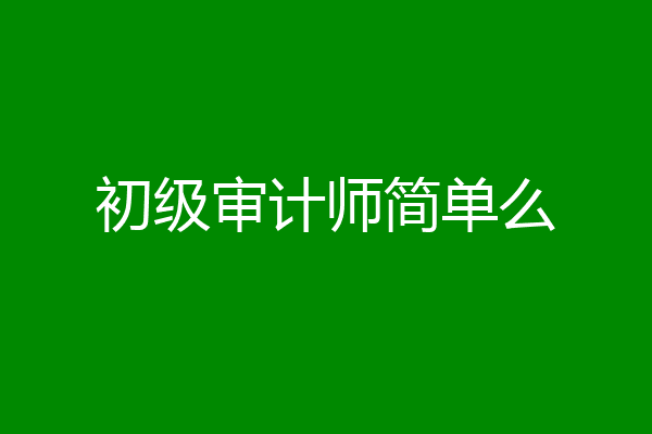 初级审计师简单么