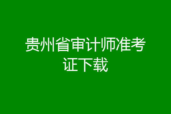 贵州省审计师准考证下载