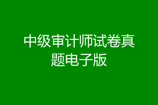 中级审计师试卷真题电子版