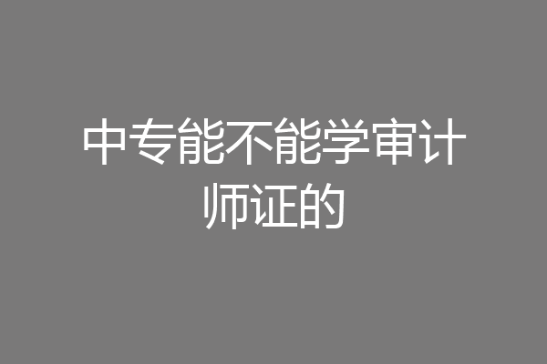 中专能不能学审计师证的