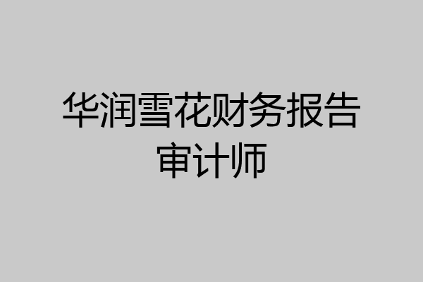 华润雪花财务报告审计师