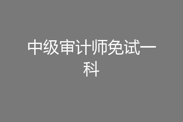 中级审计师免试一科