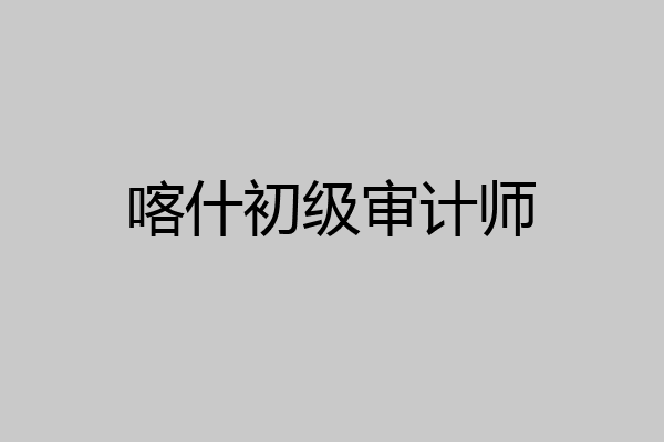 喀什初级审计师