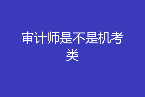 审计师是不是机考类