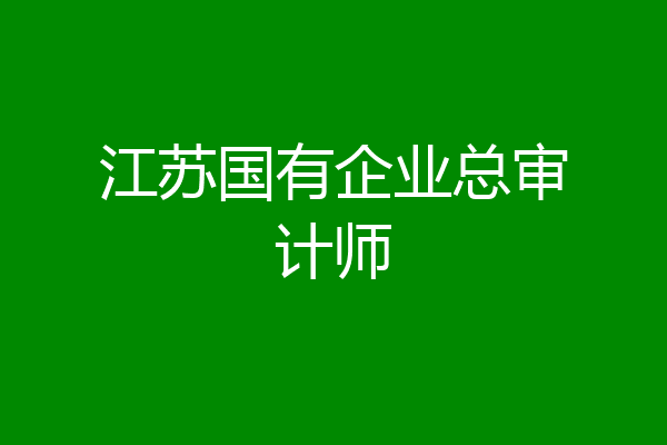 江苏国有企业总审计师