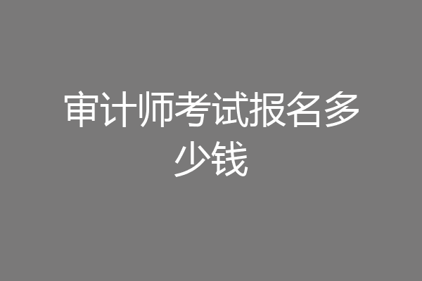 审计师考试报名多少钱