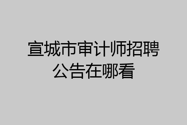 宣城市审计师招聘公告在哪看