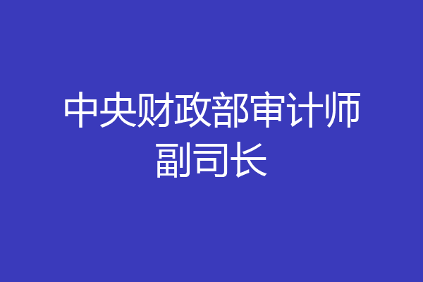 中央财政部审计师副司长