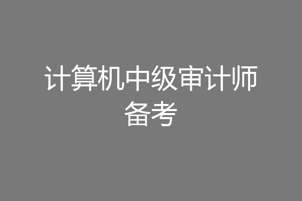 计算机中级审计师备考