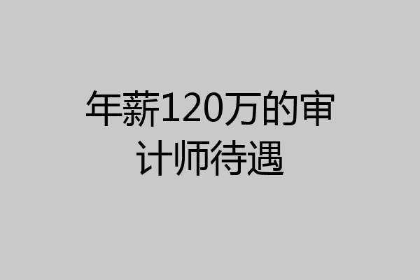 年薪120万的审计师待遇