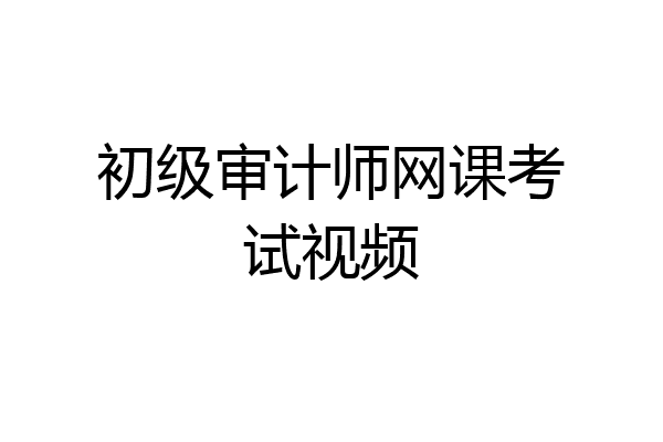 初级审计师网课考试视频