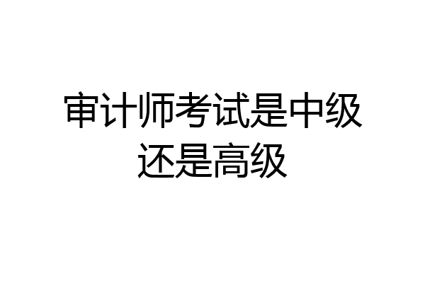 审计师考试是中级还是高级