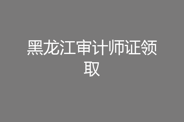 黑龙江审计师证领取