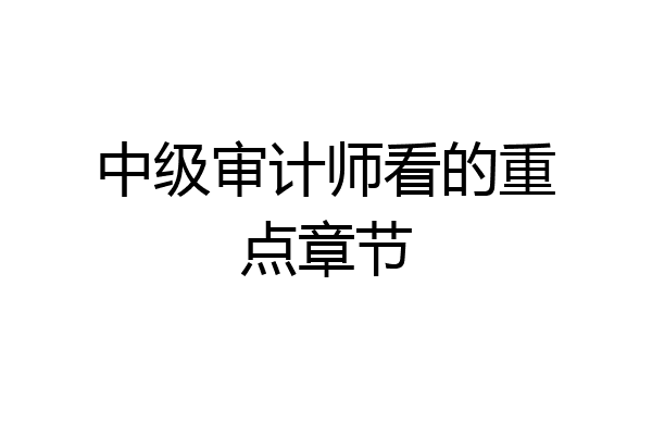 中级审计师看的重点章节