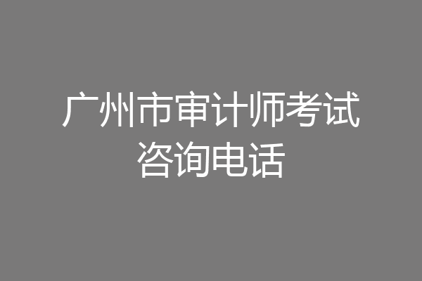 广州市审计师考试咨询电话