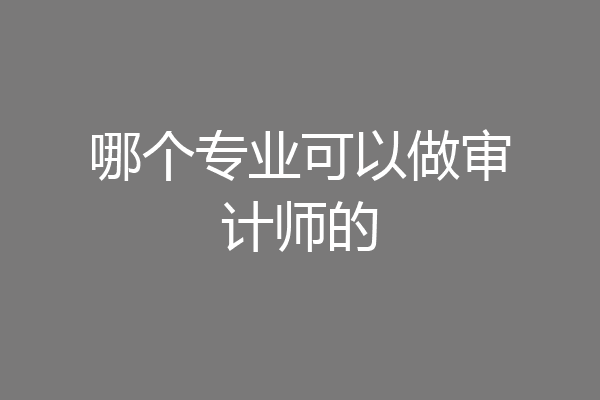 哪个专业可以做审计师的