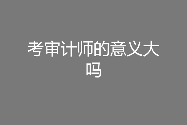 考审计师的意义大吗