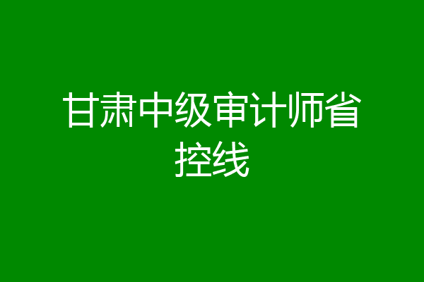 甘肃中级审计师省控线