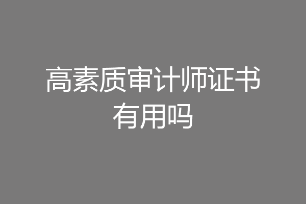 高素质审计师证书有用吗