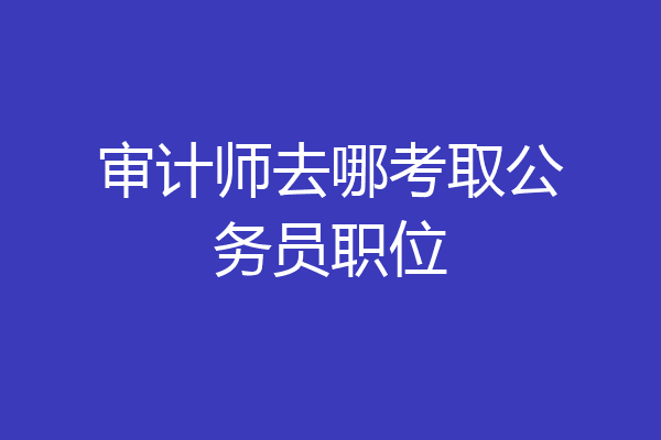 审计师去哪考取公务员职位