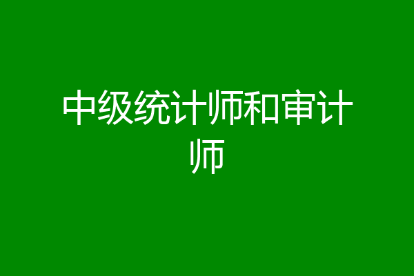 中级统计师和审计师