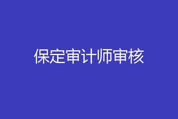 保定审计师审核