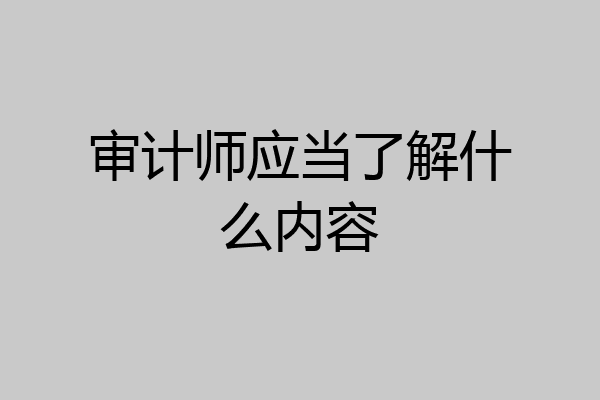 审计师应当了解什么内容